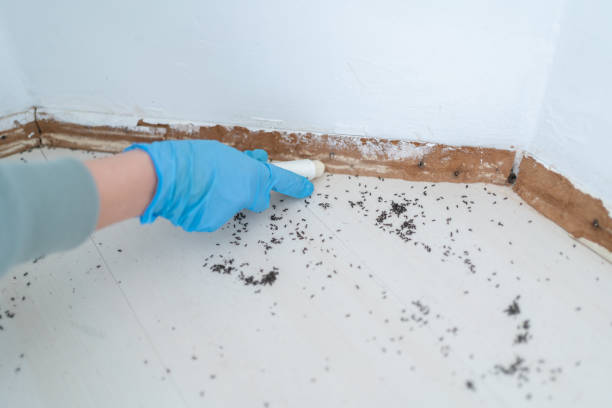 Pest Control Cost in Simi Valley, CA